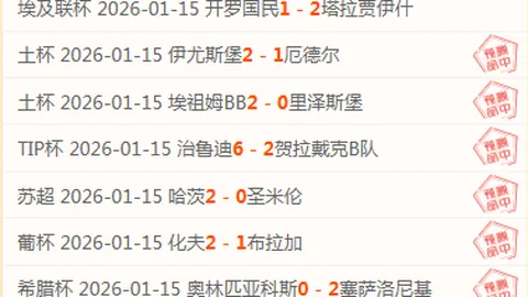 孫興慜：熱刺球迷之光照亮我前進征程